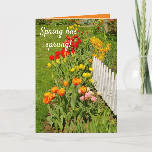 Spring has sprung, pretty spring garden, card (Front)