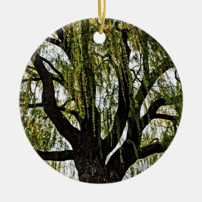 spring hopes muted ceramic tree decoration (Front)