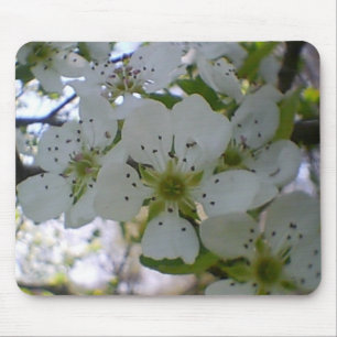 Spring in Bloom Mouse Mat