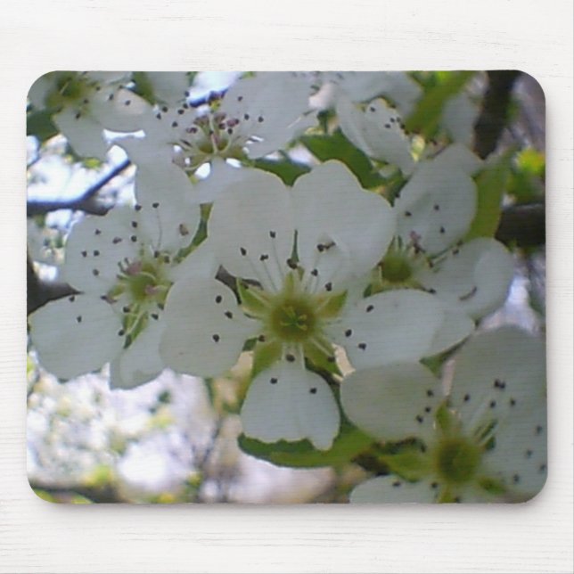 Spring in Bloom Mouse Mat (Front)