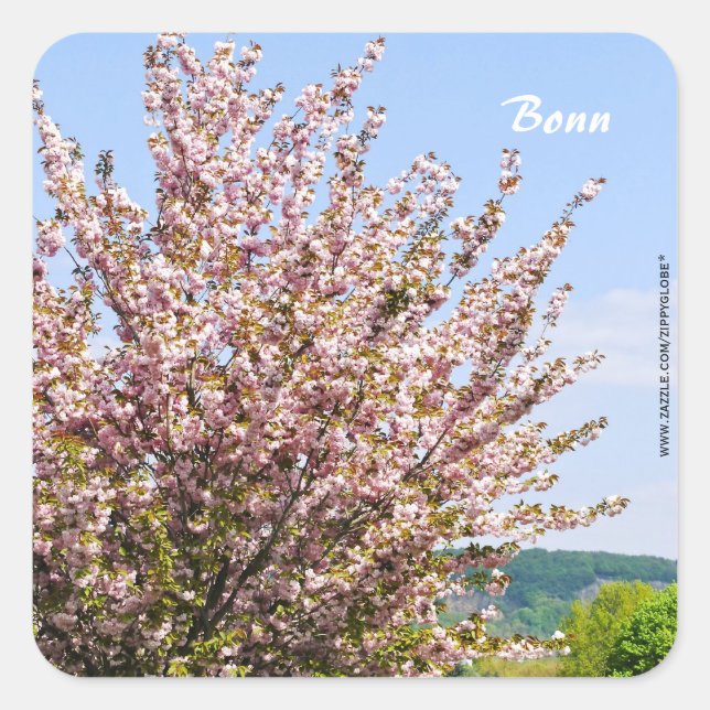 Spring in Bonn Square Sticker (Front)