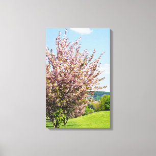 Spring in Bonn Wrapped Canvas
