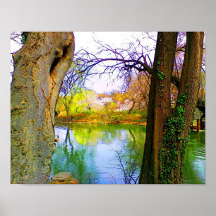 Spring in Central Park Poster
