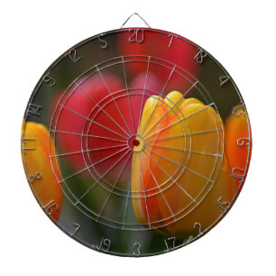 Spring in Colours Dartboard