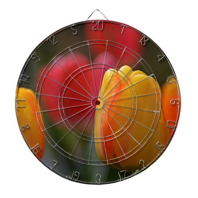 Spring in Colours Dartboard (Front)