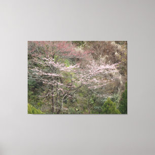 Spring in Kyoto, Japan on a Canvas Print