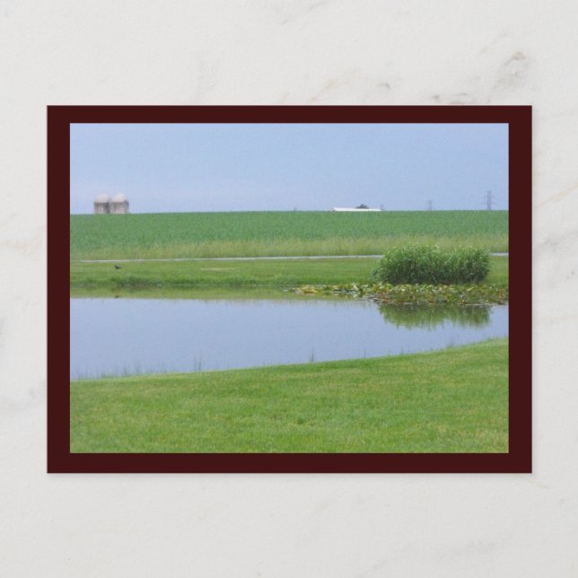 ~ Spring in Lancaster County ~ 4 Postcard (Front)