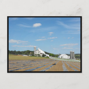 ~ Spring in Lancaster County ~ 73 Postcard