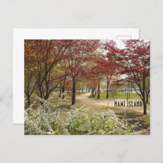 Spring in Nami Island Postcard