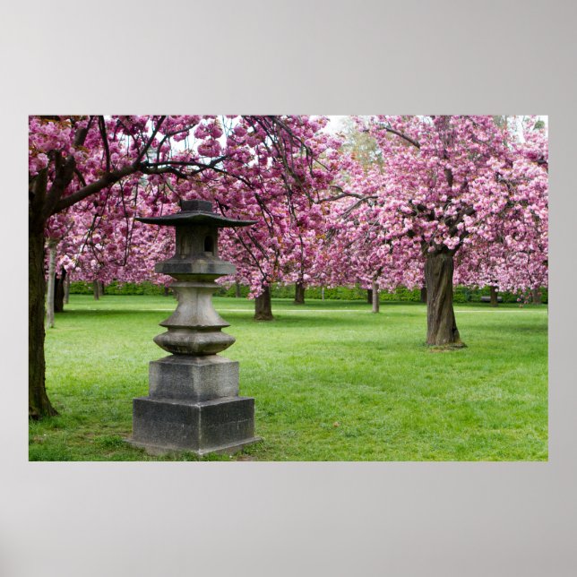 Spring in Paris Cherry Blossoms Poster (Front)