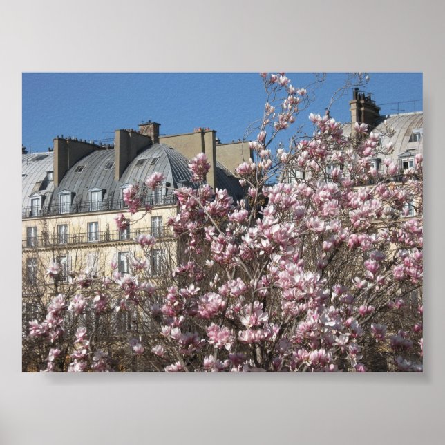 Spring in Paris Poster (Front)