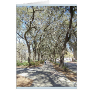 Spring in Savannah
