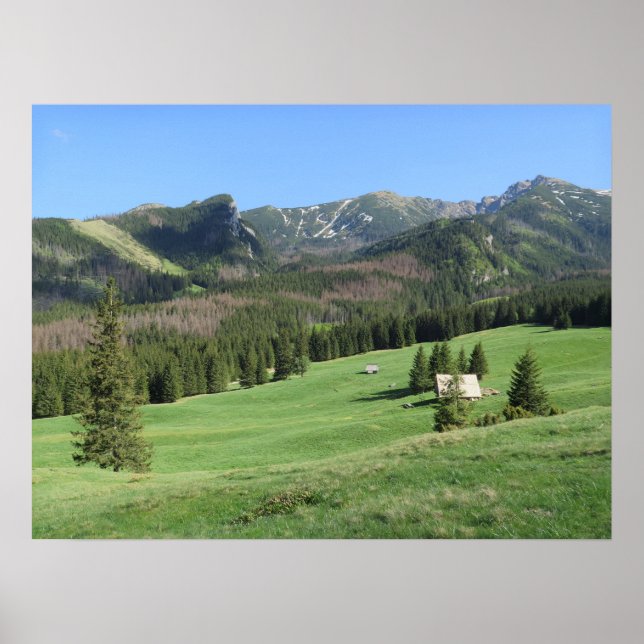 Spring in Tatras mountains Poster (Front)