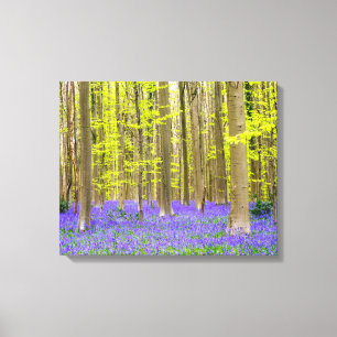 Spring in the Blue Forest Canvas Print