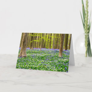 Spring in the Blue Forest Card