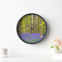 Spring in the Blue Forest