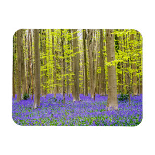Spring in the Blue Forest Magnet