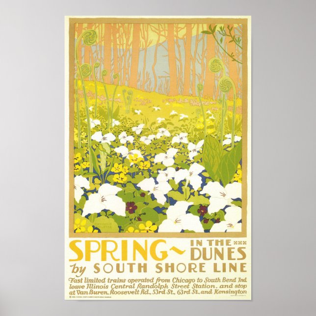 Spring- In The Dunes Poster (Front)