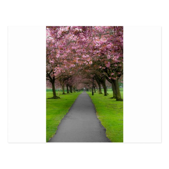 Spring in the Park Postcard