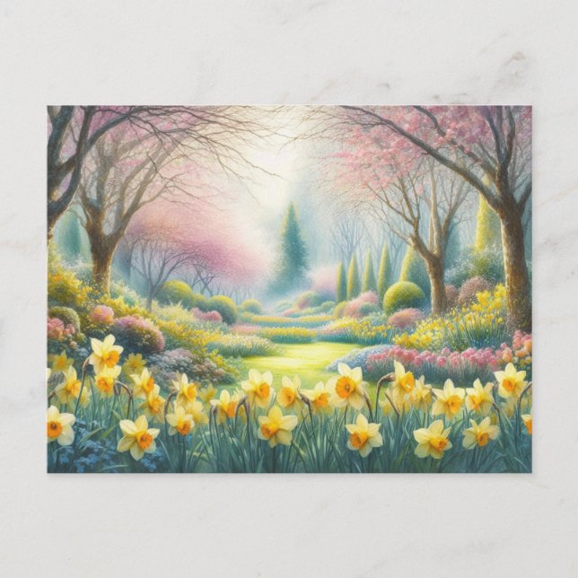 Spring in the Park with Blooming Daffodils  Postcard (Front)
