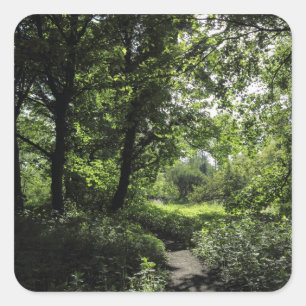 Spring in the Woods 03 Square Sticker