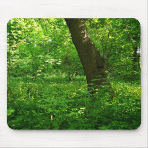 Spring in the Woods Mouse Mat