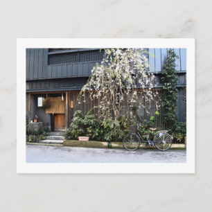 Spring in Tokyo Postcard