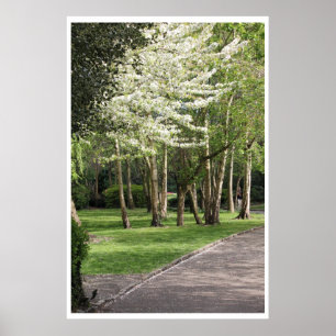 Spring Ireland Poster