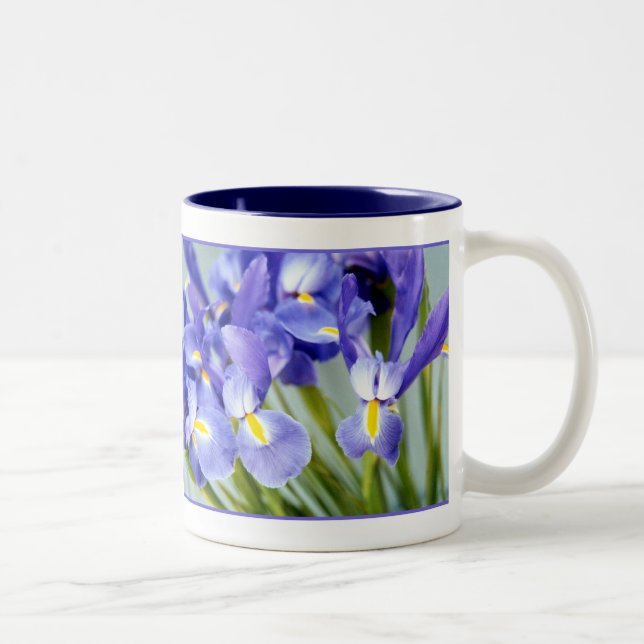 Spring Iris Mug (Right)