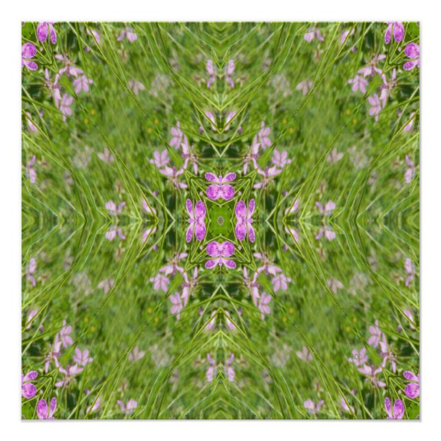 Spring is back! poster (Front)