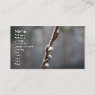 Spring is Coming Business Card