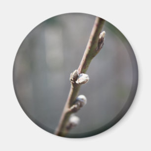 Spring is Coming Magnet