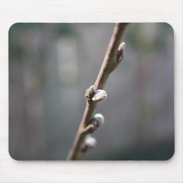 Spring is Coming Mouse Mat (Front)