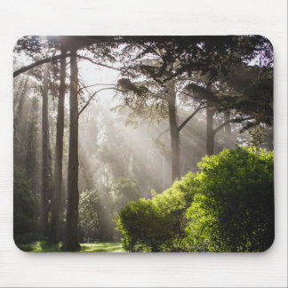 Spring is comming mouse mat