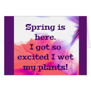 Spring is here.  I got so excited I wet my plants!