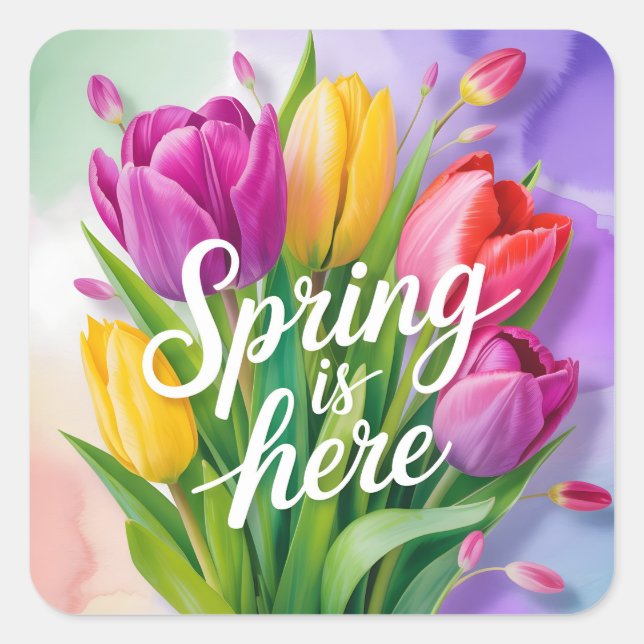 "Spring is Here" Tulip Bouquet Illustration Square Sticker (Front)