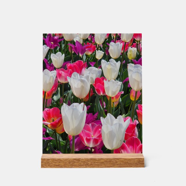 Spring is in Bloom Acrylic Sign (Front)