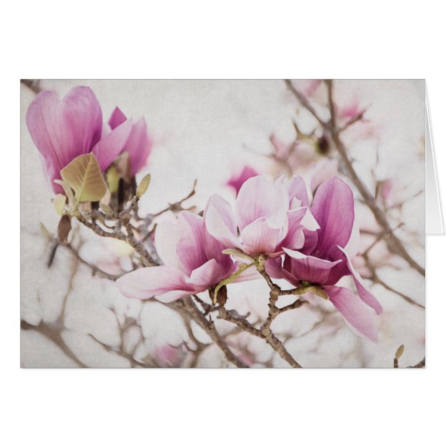 Spring is In the Air (Front Horizontal)