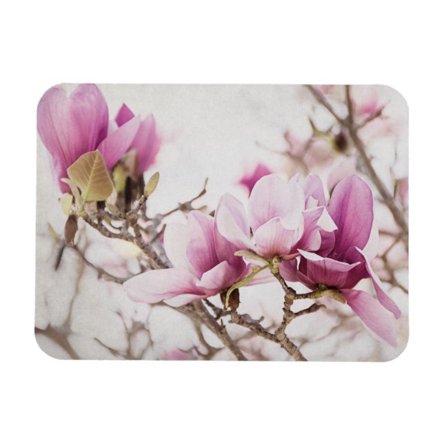 Spring is In the Air Magnet (Horizontal)