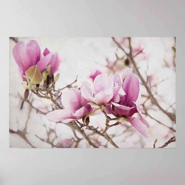 Spring is In the Air Poster (Front)