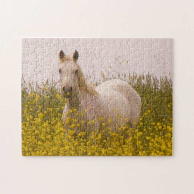 Spring Jigsaw Puzzle (Horizontal)