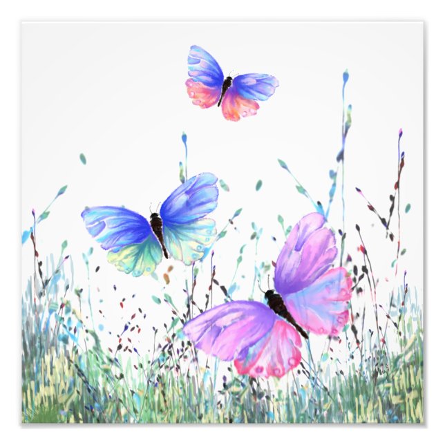 Spring Joy - Colourful Butterflies Flying in Natur Photo Print (Front)