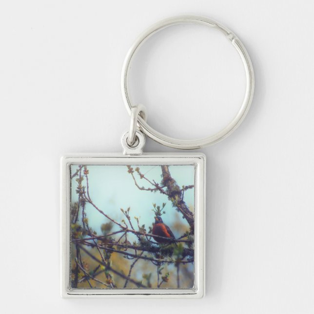 Spring Key Ring (Front)