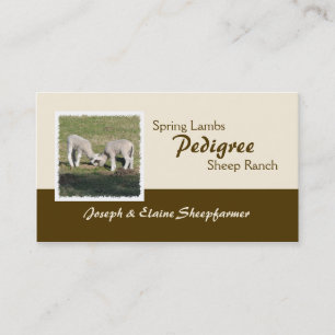 Spring lambs business card