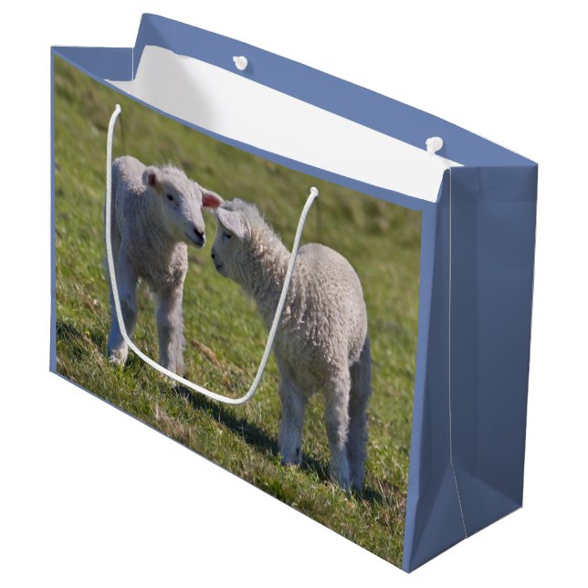 Spring Lambs Gift Bag (Front Angled)