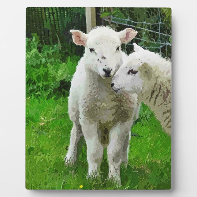 SPRING LAMBS PLAQUE (Front)