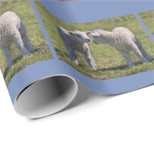 Spring Lambs Wrapping Paper