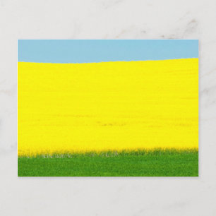Spring Landscape Meadow Postcard