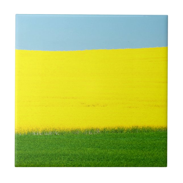 Spring Landscape Meadow Tile (Front)