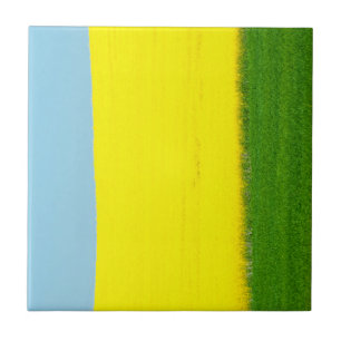 Spring Landscape Meadow Tile